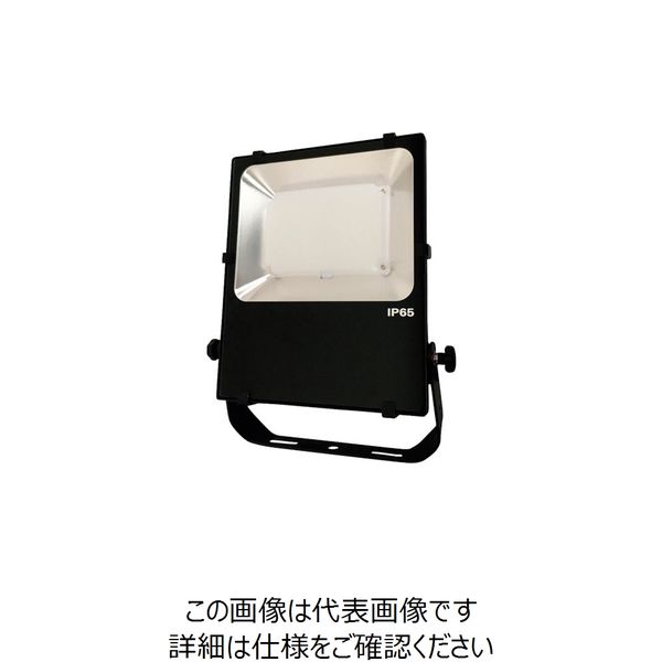日機 LED投光器 45W AC100ー240V NLFL50-AC-S 1台 253-0041（直送品）