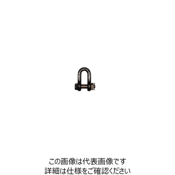 大洋製器工業 大洋 JISシャックル M級 黒 SBー65(1007723) SB-65 1個 849-2514（直送品）