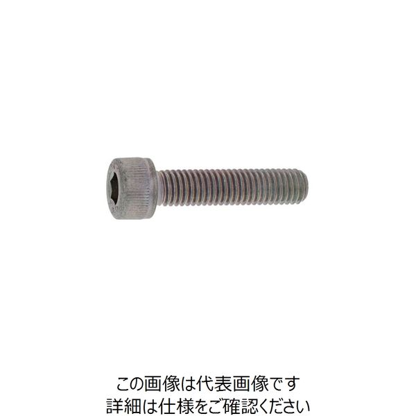 SUNCO ステンCAP(カクマル 10×55 (100本入) A0-02-000K-0100-0550-00 1箱(100本)（直送品）