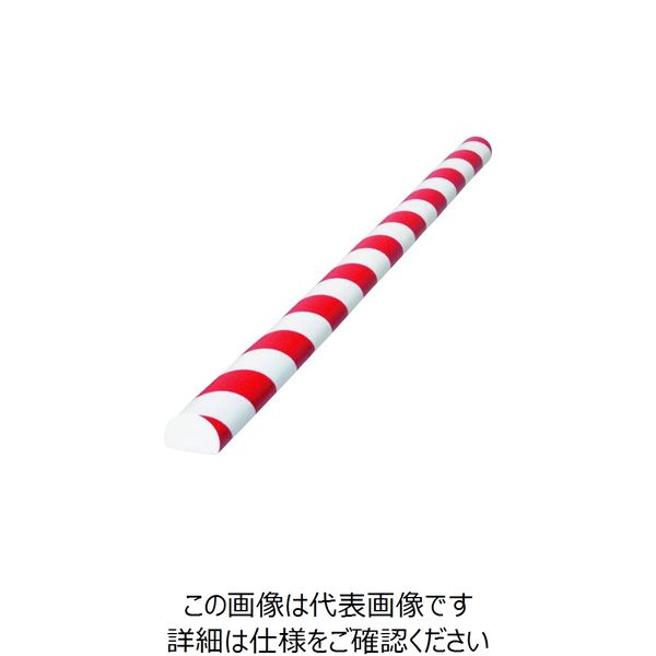 岩田製作所 IWATA バンパープロ フラットタイプ BP4 赤/白 1m BP4R-L1 1本 222-0817（直送品）