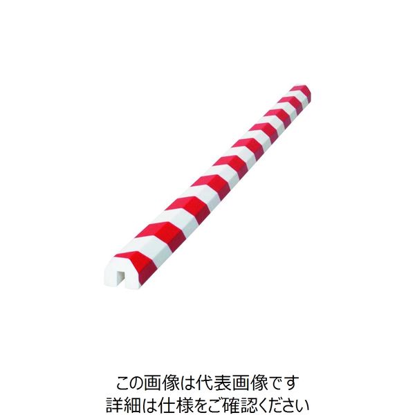 岩田製作所 IWATA バンパープロ BP34R-L1 1本 221-1308（直送品）