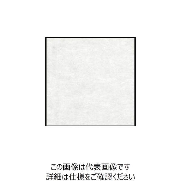 大黒工業 大黒 シースル掛紙 無地 97848 1組(100枚) 235-7176（直送品）