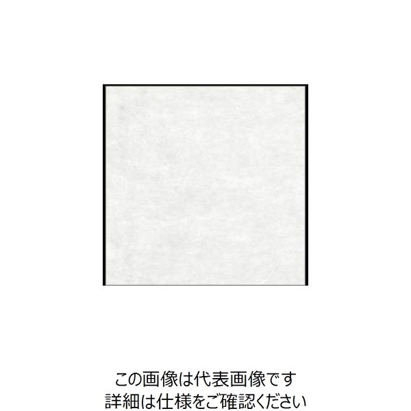 大黒工業 大黒 シースル掛紙 無地 97848 1組(100枚) 235-7176（直送品）