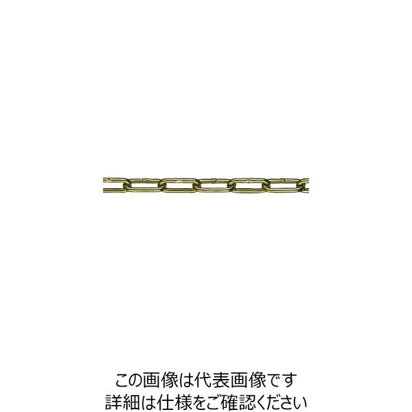 水本機械製作所 水本 チューブ保護アルミカラーチェーン ゴールド 6HALC-G 20.1～21m 6HALC-G-21C 158-2514（直送品）