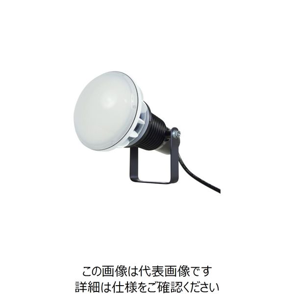 日動工業 日動 エコビックLED投光器40W 常設型 昼白色 電線1.5m 本体黒 AFL-E40J-BK 1台 249-8740（直送品）