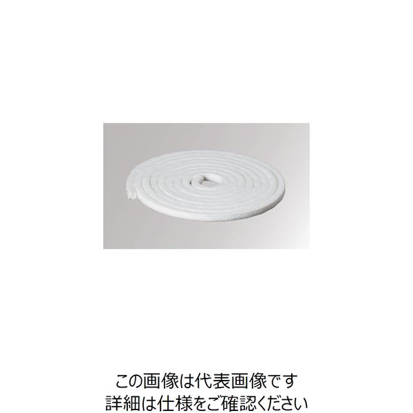 ジャパンマテックス Matex ケミカル用グランドパッキン(白) 幅19mm×長さ3m×高さ19mm 6500-19.0-3M 1巻（直送品）