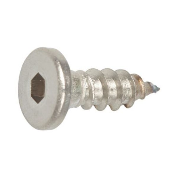 SUNCO 三価ホワイト 極低頭Aヒラ(六角穴付 4×10 (1000本入) 20