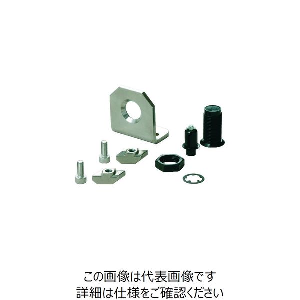 AS-252F-06-3-30-8（直送品）