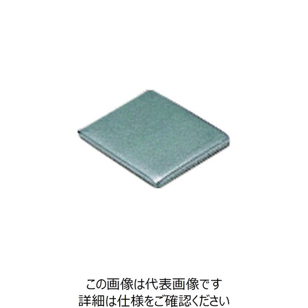 スガツネ工業 SUGATSUNE (120180490)4849/安全プレート 4849 1個 223-9545（直送品）