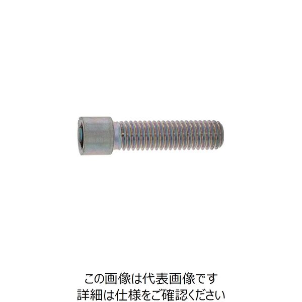 SUNCO ステンレス 小頭CAP 10×16 (100本入) A0-02-0050-0100-0160-00 1箱(100本)（直送品）