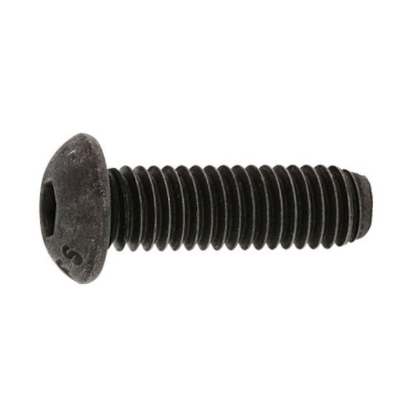 SUNCO ボタンCAP(UNC #8ー32×1/4 (100本入) A0-00-1030-7080-8020-00 1箱(100本)（直送品）