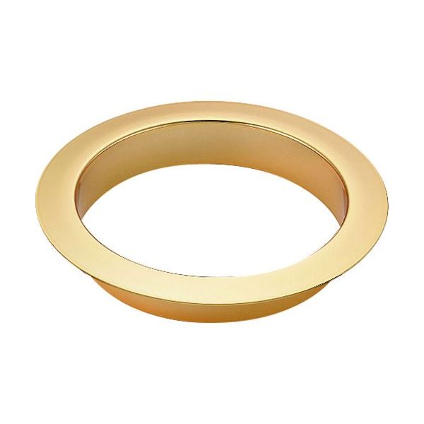 スガツネ工業 SUGATSUNE (210022100)ANーLH011ーGP/投入口 AN-LH011-GP 1個 224-5571（直送品）