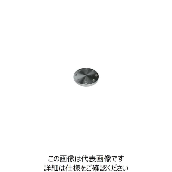 イノック ブラインドフランジ SUS304 BF 10K 550A 304BF10K550A 1枚 850-5166（直送品）