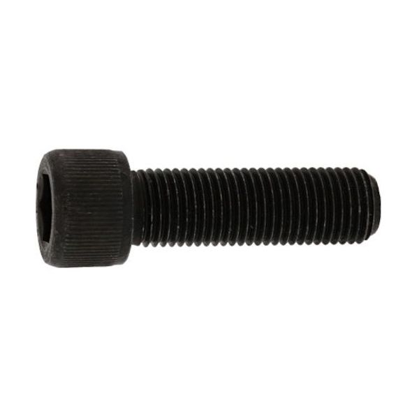 SUNCO CAP(UNF #3ー56×1/4 (100本入) A0-00-0040-7030-8020-00 1箱(100本)（直送品）