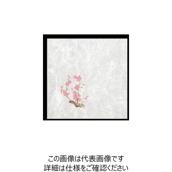 大黒工業 大黒 シースル掛紙 No.10 (紅梅」 97937 1組(100枚) 236-3453（直送品）