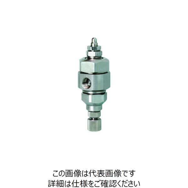 いけうち 微霧発生2流体ノズル 小噴量扇形 BIMVシリーズ(液加圧タイプ) BIMV11004S303.UNDBS303 1個 204-9564（直送品）
