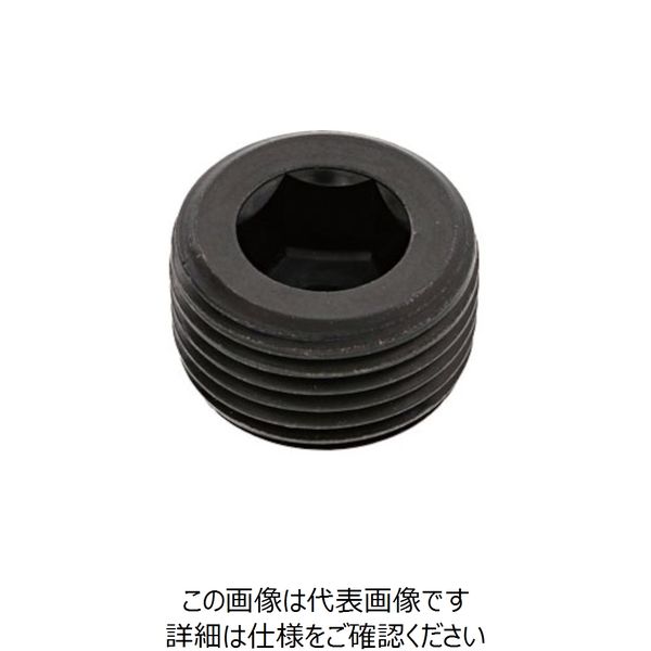 SUNCO プラグ(沈み カクマル PT 1/4 (100本入) A0-00-571K-8020-0000-00 1箱(100本)（直送品）