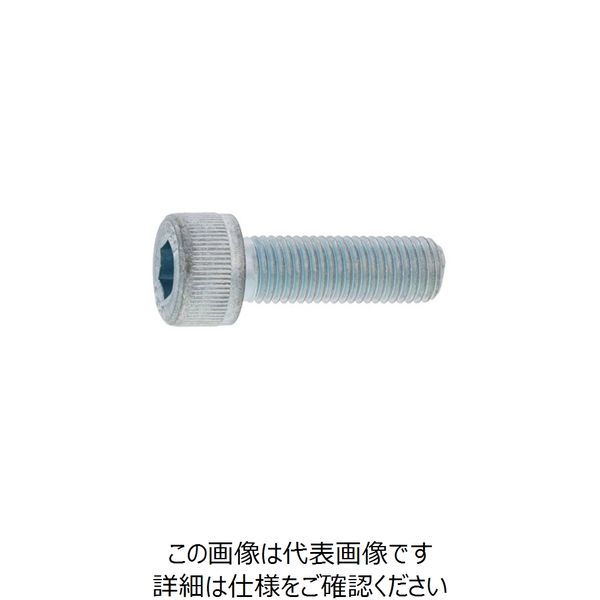 SUNCO BK ステンCAP 細目(P1.25 10 X 20 (100本入) A0-02-0004-0100-0200-08（直送品）