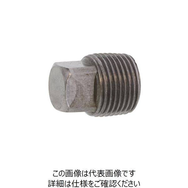 SUNCO BSプラグ 四角頭 R1/4-19×19 （100本入） A0-01-5720-8020-0000-00 243-7515（直送品）
