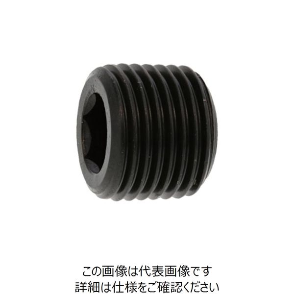 SUNCO プラグ(浮き カクマル PT 1” (50本入) A0-00-570K-8100-0000-00 1箱(50本)（直送品）