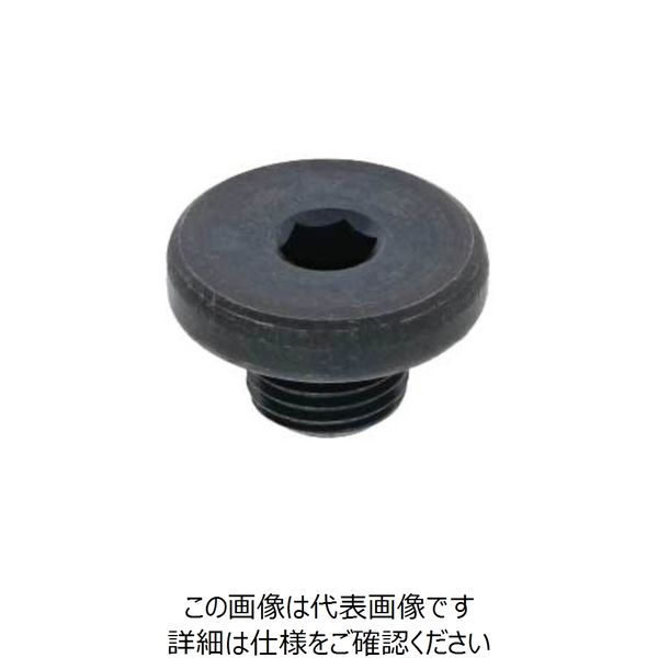 SUNCO GOSHOプラグ (Oリング GFO M16 (200本入) A0-00-5860-0160-0000-00 1箱(200本)（直送品）  - アスクル