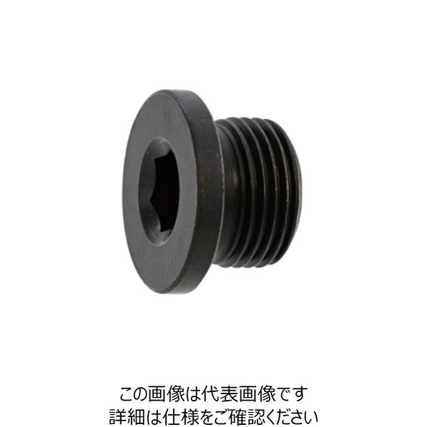 SUNCO NSフランジプラグ G 1/8 (400本入) A0-00-5750-8010-0000-00 1箱(400本)（直送品）