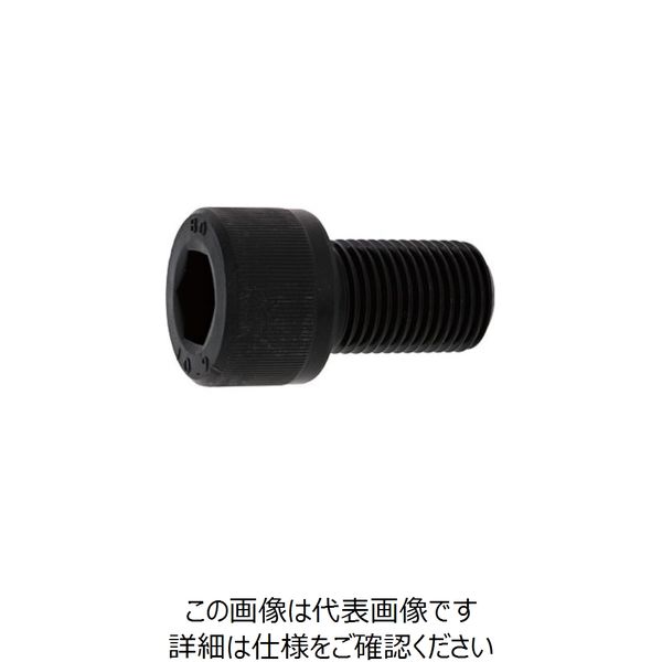 SUNCO ステンCAP(細目 ピッチ 1.0 12 X 35 (50本入) A0-02-0005-0120-0350-00 1箱(50本)（直送品）