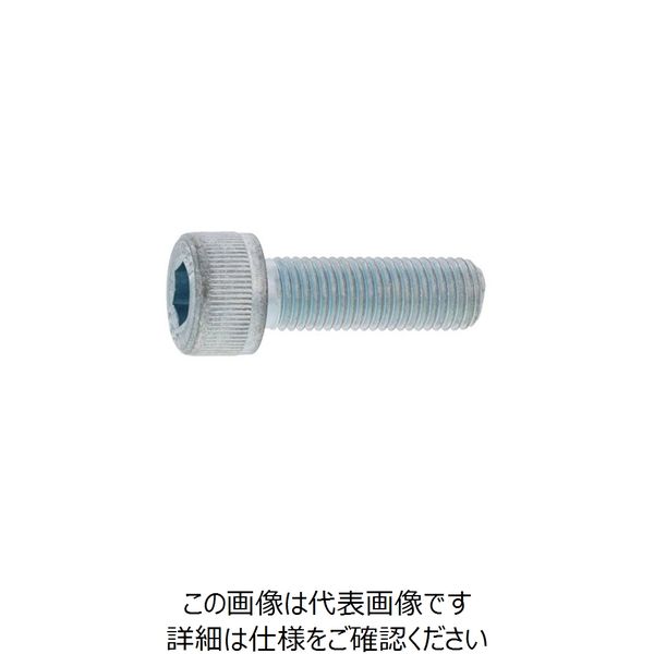 SUNCO 3価ホワイト CAP(細目P1.0 8×12 (200本入) A0-00-0004-0080-0120-03 1箱(200本)（直送品）