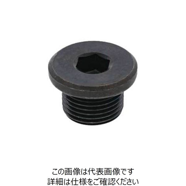 SUNCO GOSHOプラグ (高圧用 JOHS 1” (40本入) A0-00-5870-8100-0000-00 1箱(40本)（直送品）