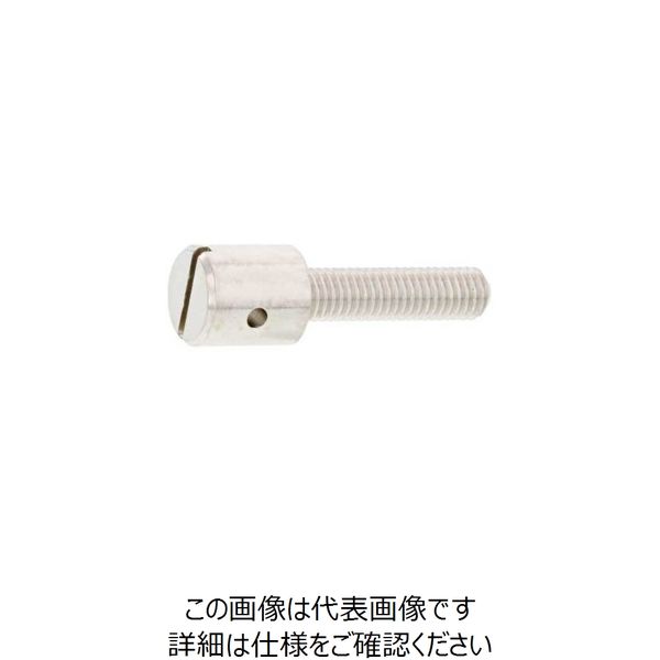 SUNCO ニッケルECOーBS封印ビス 4×20 (350本入) 00-01-J04C-0040X0200-05 1箱(350本)（直送品）