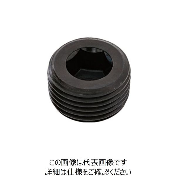 SUNCO プラグ（沈み（TKS PT 3/4 （80本入） A0-00-571T-8060-0000-00 248-8238（直送品）