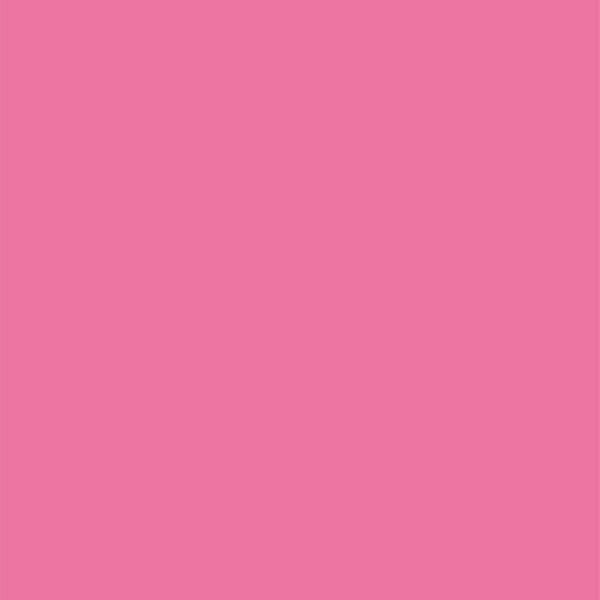 アルテ ニューカラーボード　ピンク　５ｍｍ厚　Ｂ１判　素板　ＢＰー５ＣＢーＢ１ーＰＫ　バラ売り 066318 1枚（直送品）