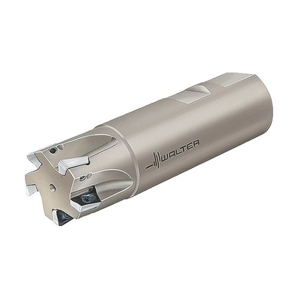 ワルタージャパン ワルター 肩削りカッター F4042R.Z32.032.Z03.10 1個 803-6410（直送品）