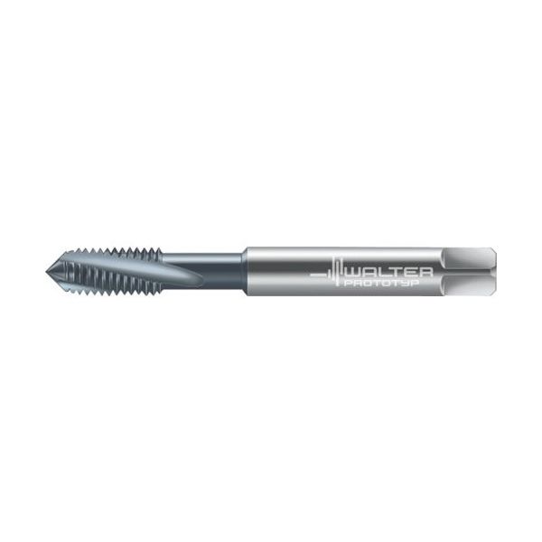 ワルタージャパン プロトティップ マシンタップ 80410-M6 1個 802-7360（直送品）