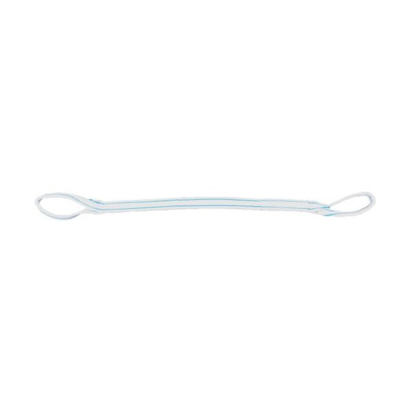 テザック TESAC 耐化学薬品用スリング(JIS2等級・両端アイ形)75mm幅×3.5m PP2E75X3.5 1本 851-8249（直送品） 9,129円