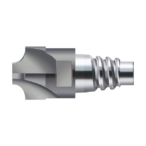 ワルタージャパン プロトティップ ConeFit H3E68118-E10-10-2 1セット(2個) 825-9985（直送品）