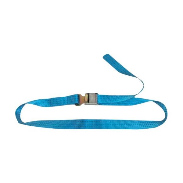 テザック TESAC ラッシングベルト(ベルト荷締機)カムバックル式エンドレスフックタイプ C15K000KD050A 1本(1個)（直送品）