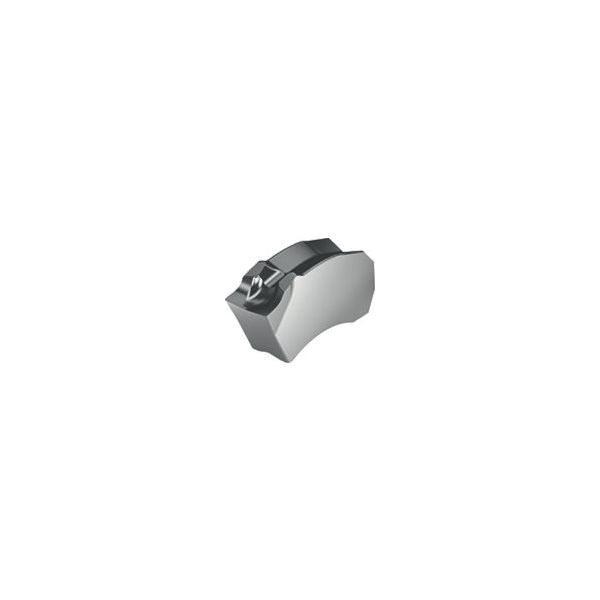 ワルタージャパン ワルター 溝入れチップ WSM33S SX-3E300N02-CF5 1セット(10個) 802-5325(直送品)