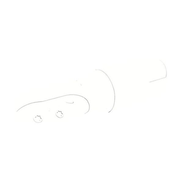 ワルタージャパン ワルター ボールノーズカッター F2339.W32.032.Z02.43 1個 803-6057（直送品）