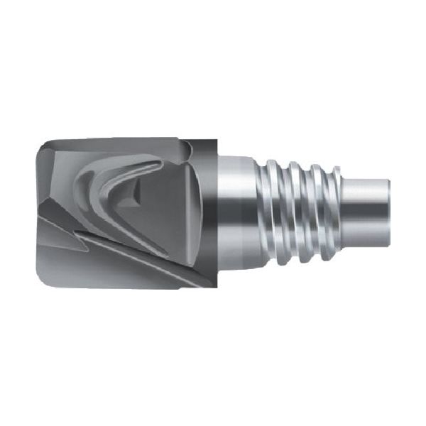 ワルタージャパン Prototyp エンドミル H1E12018-E16-16-0.5 1セット(2個) 825-9860（直送品）