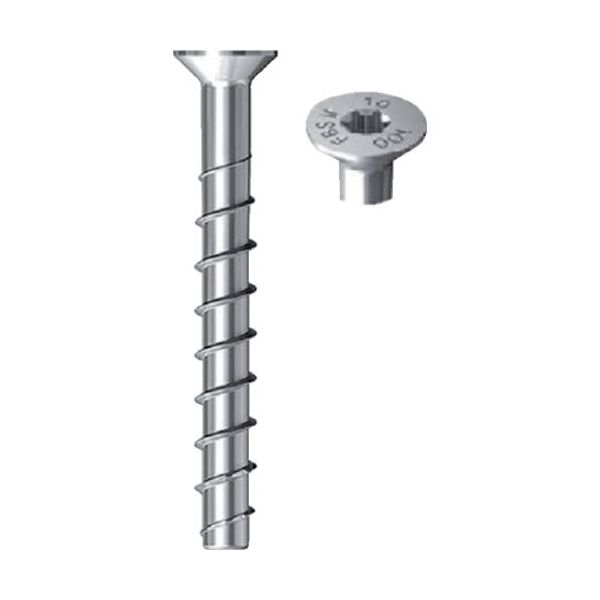 フィッシャージャパン フィッシャー FBS2 10×80 25/15/ー SK(50本入) 536885 1セット(200本:50本×4箱)（直送品）