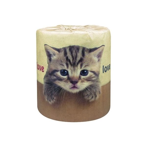 林製紙 (2962)やっぱり猫が好き！1ロール個包装トイレットペーパー 810083 1箱（100個入り）（直送品）