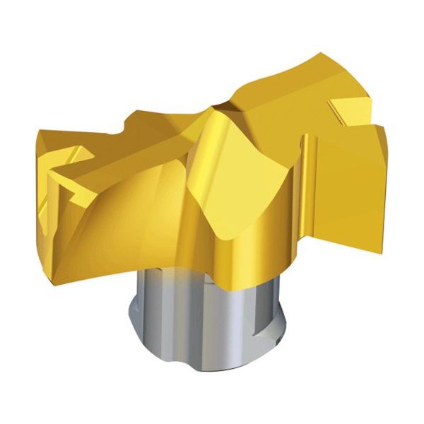 NTKカッティングツールズ TAEGUTEC 刃先交換式ドリル用ヘッド ドリルラッシュ TCD-206-F TT9080 1セット(2個)（直送品） 22,924円