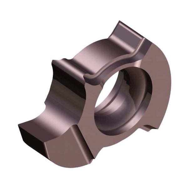 TAEGUTEC ミニアイラッシュ 内径浅溝入用高精度研削タイプチップ TMIS 8-1.50-0.05 TT8020 1セット(10個)（直送品）