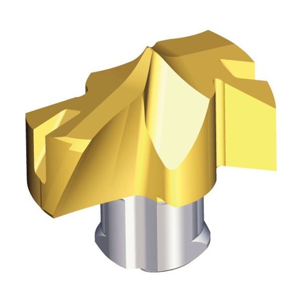 TAEGUTEC 刃先交換式ドリル用ヘッド ドリルラッシュ TCD-117-PPLUS TT9080 1セット(2個)（直送品）