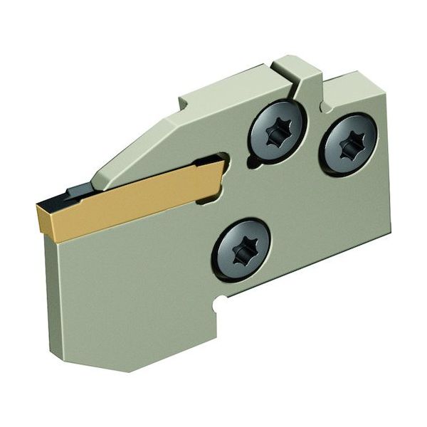 ワルタージャパン Walter 溝入れモジュール 外径溝加工 MSS...E... MSS-E20L21-GX24-2 1個（直送品）