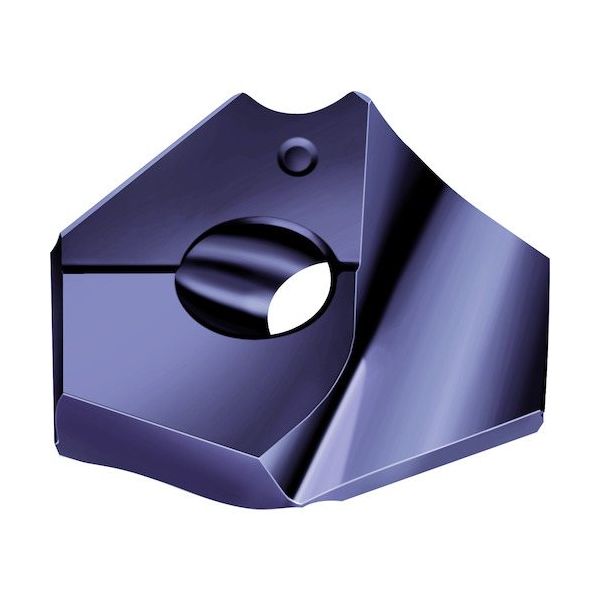 ワルタージャパン Walter ポイントドリルチップ WMP35 P6003-D2625R 1個 412-5411（直送品） 12,380円