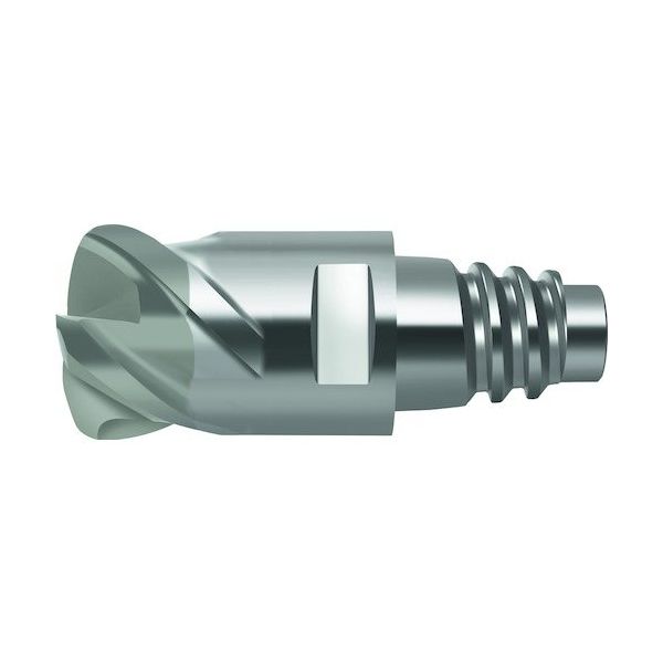 ワルタージャパン Prototyp セラミック肩削り 溝削りエンドミル MC075-16.0E4P200-WIS10 1個 418-7224（直送品）