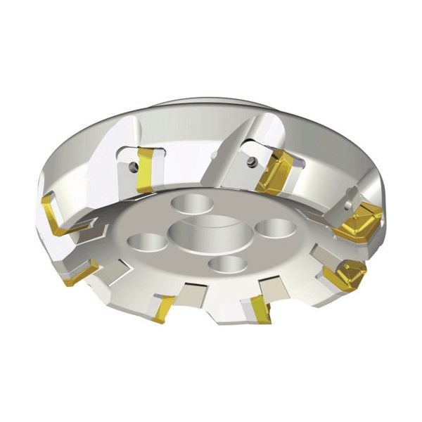 NTKカッティングツールズ TAEGUTEC ライノウェッジクランプ LM60SC 12250-60R-27 1本 457-5333（直送品）