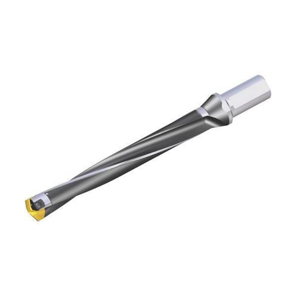 NTKカッティングツールズ TAEGUTEC 刃先交換式穴あけ用ホルダー スペードラッシュ LCD 300-309-32T2-8D 1本（直送品）